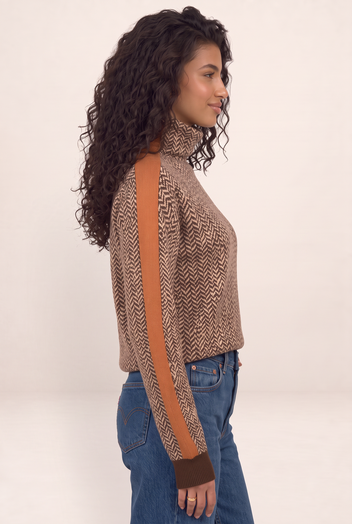 Pull Col Roulé à Chevrons Femme Domitille