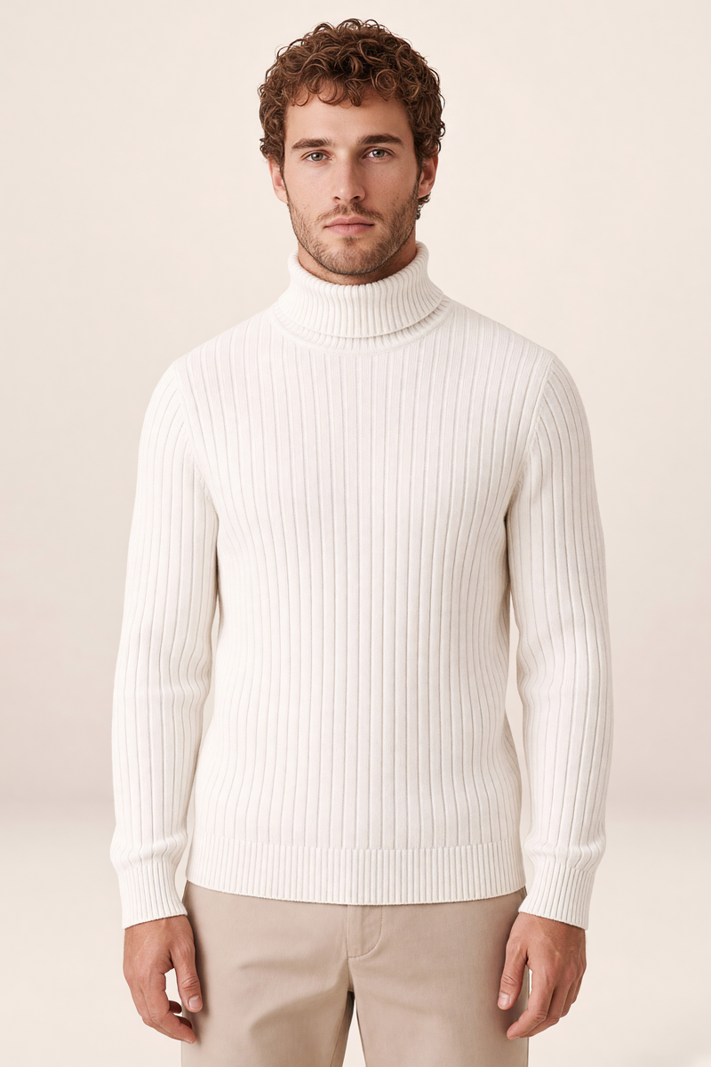 Pull Col Roulé Côtelé Homme Olivier